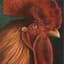 Regal_Rooster