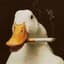Unlucky Ducky