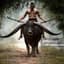 Guy on a Buffalo