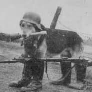 firerifle07