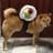 ♖SushiDog