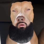 Cocosini