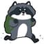 FunkyRaccoon