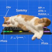 Chaos__Katze