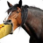 IrishBeefHorse