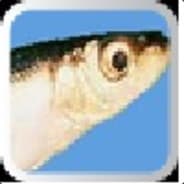 Pickled Herring