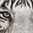 Eyeofthetiger