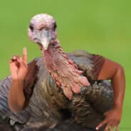 metoojiveturkey