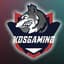 KDSgaming