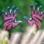 GardenGloves