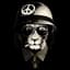 Maestro_3358