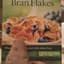 BranFlakes