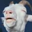 GOAT MAN