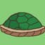 Turtle_Shell