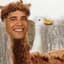 Obama Llama