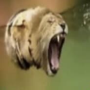 Borger