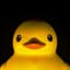 Rubber Ducky