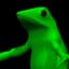 FROG BOY