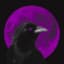 Midnight_Crow