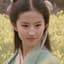 Ming zhuge