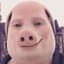 John pork