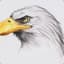 CryingEagle