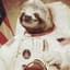 AstroSloth