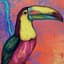 Toucan