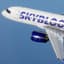 SkyBee