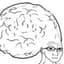 BigBigBrain