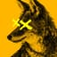 Coyote