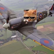 SpitKat