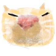 mavino
