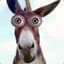 Donkey98