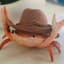 CaranguejoCOwboy