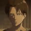 Levi