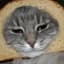 xXBreadCat420Xx