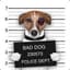 VeryBadDOG
