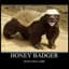 evil_badger