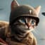 War Cat 1