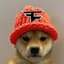 DogeTea z Humpolce