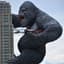 _KONG_