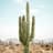 CactusKing