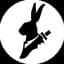 rabbit_ninja