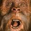 Sasquatch