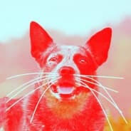 Ж | Ham
