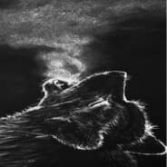 Lone Wolf