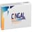 CINGAL