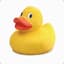Duck Raden