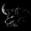 Silent Wolf